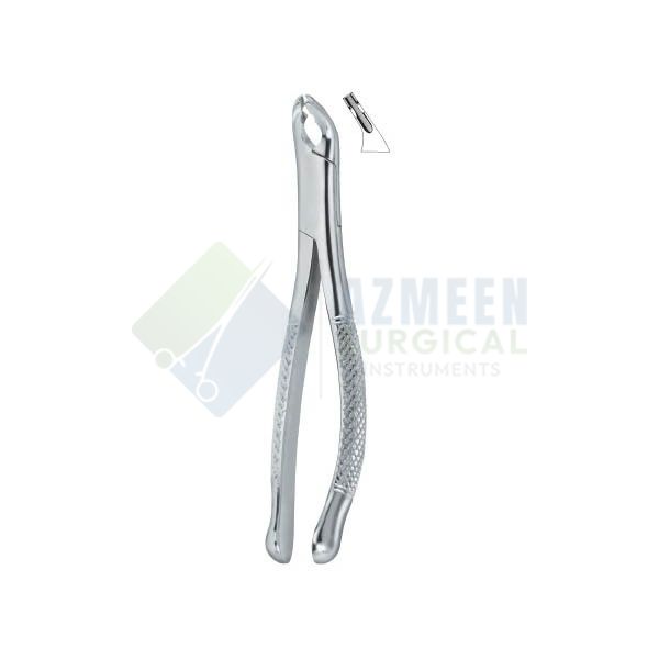 Bicuspids and Incisors, Roots 150AS