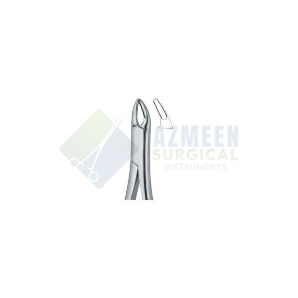 Cryer Bicuspids and Incisors , Roots 150S