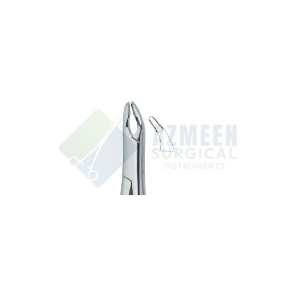 Cryer Bicuspids ,Incisors and Roots 150A