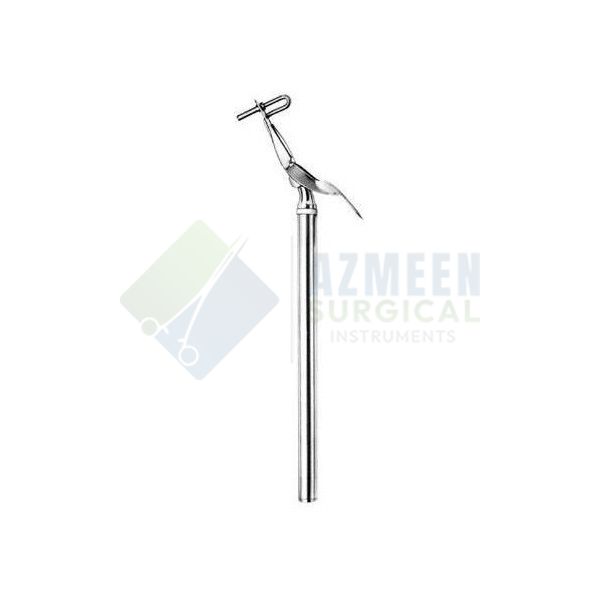 Amalgam Carrier
