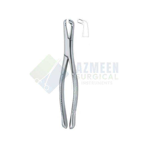Third Molars 222