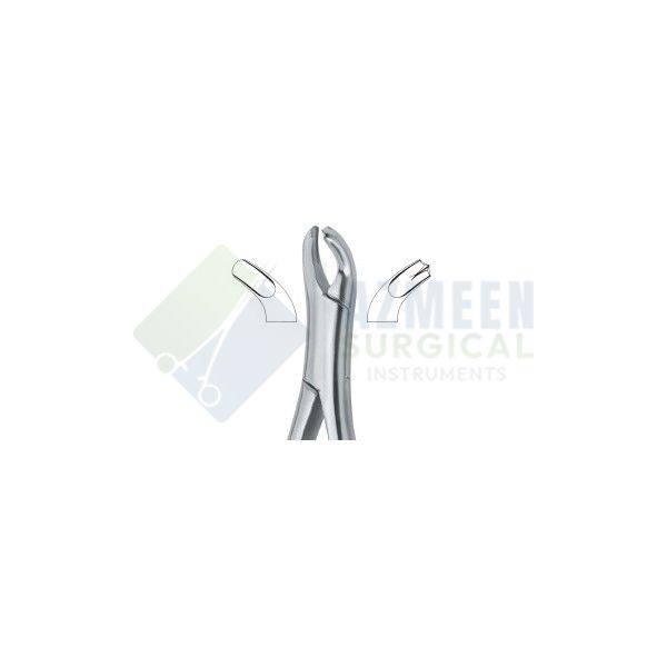Harris Molars , left 18L
