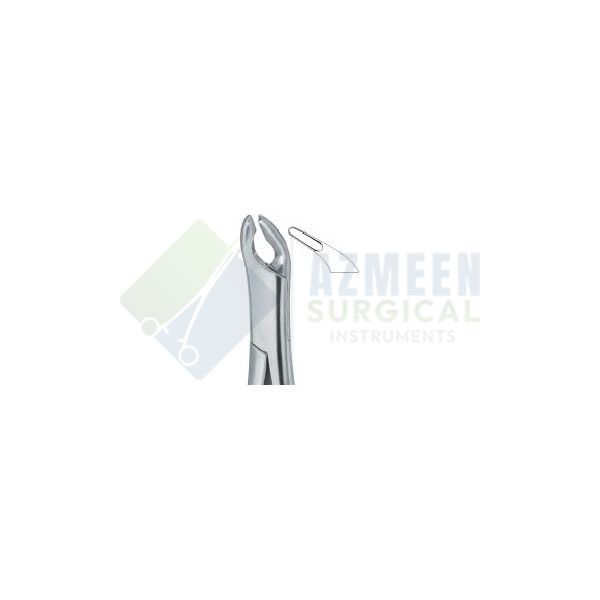  Cryer Bicuspids , Incisors and Roots 151A