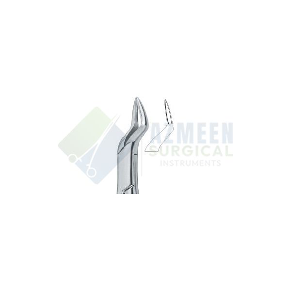  Incisors and Roots 65