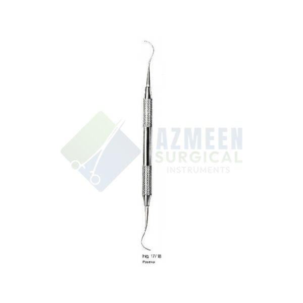  Anterior